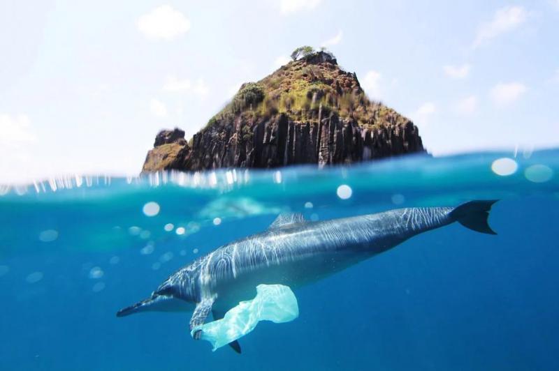 В США запустили гигантскую ловушку для пластикового мусора в океане