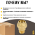 Муфта латунная TIM с наружной резьбой 32x1 для ПНД труб